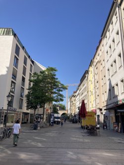 IMG_8355.jpeg IMG_8355.jpeg