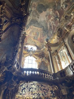 IMG_8354.jpeg IMG_8354.jpeg