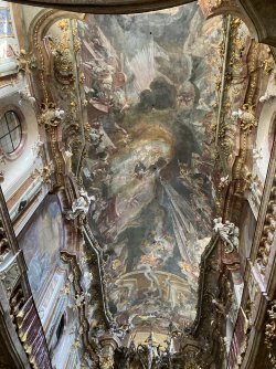 IMG_8353.jpeg IMG_8353.jpeg