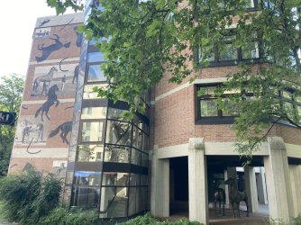 IMG_8344.jpeg IMG_8344.jpeg