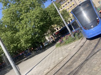 IMG_8380.jpeg IMG_8380.jpeg