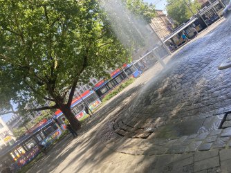 IMG_8373.jpeg IMG_8373.jpeg