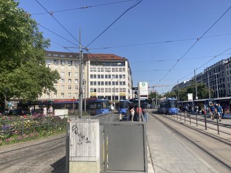 IMG_8368.jpeg IMG_8368.jpeg