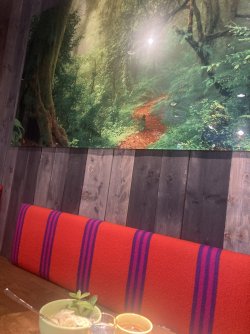 IMG_8387.jpeg IMG_8387.jpeg