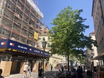 IMG_8393.jpeg IMG_8393.jpeg