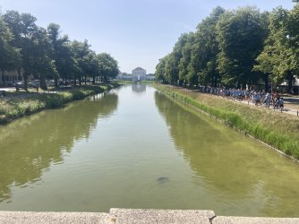 IMG_8397.jpeg IMG_8397.jpeg