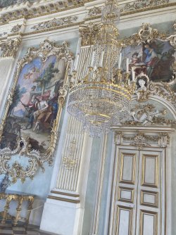 IMG_8402.jpeg IMG_8402.jpeg