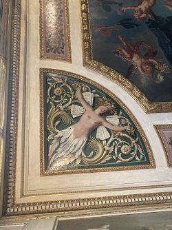 IMG_8408.jpeg IMG_8408.jpeg