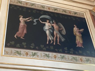 IMG_8452.jpeg IMG_8452.jpeg