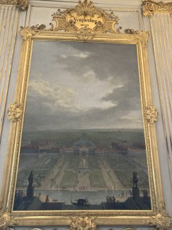 IMG_8426.jpeg IMG_8426.jpeg