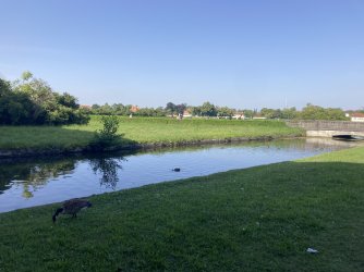 IMG_8456.jpeg IMG_8456.jpeg