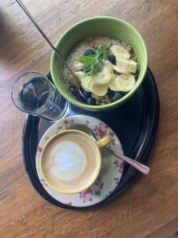 IMG_8509.jpeg IMG_8509.jpeg