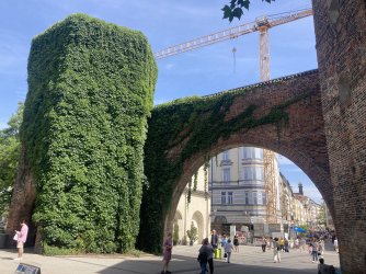 IMG_8519.jpeg IMG_8519.jpeg