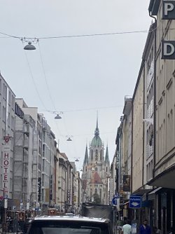 IMG_8528.jpeg IMG_8528.jpeg