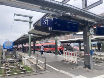 IMG_8537.jpeg IMG_8537.jpeg