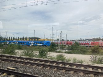 IMG_8539.jpeg IMG_8539.jpeg