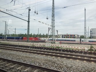 IMG_8541.jpeg IMG_8541.jpeg