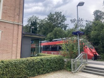 IMG_8559.jpeg IMG_8559.jpeg