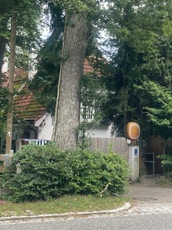 IMG_8563.jpeg IMG_8563.jpeg