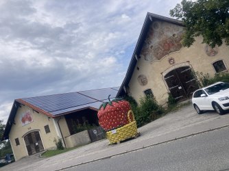 IMG_8564.jpeg IMG_8564.jpeg