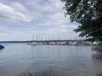 IMG_8568.jpeg IMG_8568.jpeg