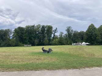 IMG_8571.jpeg IMG_8571.jpeg