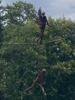 IMG_8577.jpeg IMG_8577.jpeg