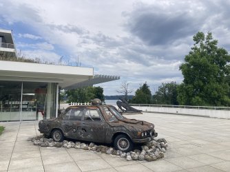 IMG_8583.jpeg IMG_8583.jpeg