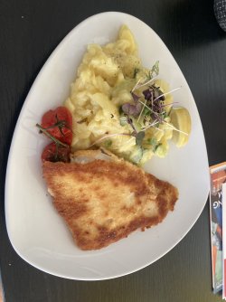 IMG_8584.jpeg IMG_8584.jpeg