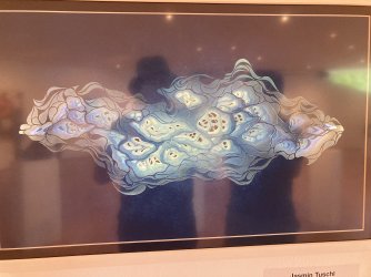 IMG_8593.jpeg IMG_8593.jpeg