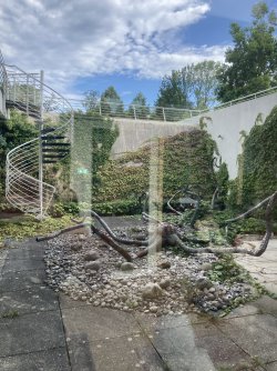 IMG_8633.jpeg IMG_8633.jpeg