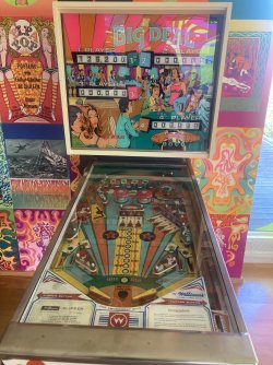 IMG_8667.jpeg IMG_8667.jpeg