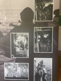 IMG_8677.jpeg IMG_8677.jpeg