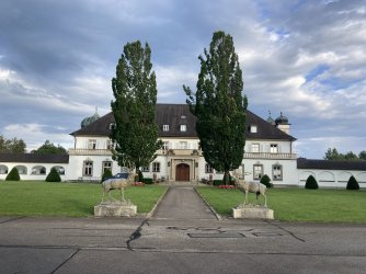 IMG_8725.jpeg IMG_8725.jpeg