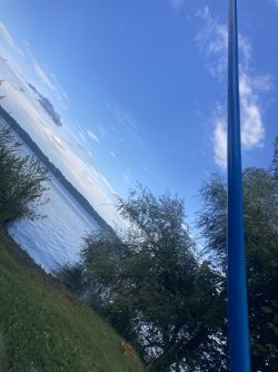 IMG_8701.jpeg IMG_8701.jpeg