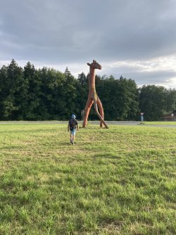 IMG_8729.jpeg IMG_8729.jpeg