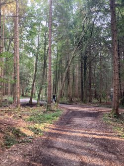 IMG_8738.jpeg IMG_8738.jpeg