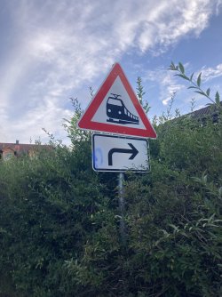 IMG_8748.jpeg IMG_8748.jpeg