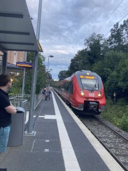 IMG_8756.jpeg IMG_8756.jpeg