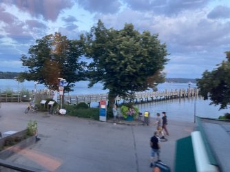 IMG_8768.jpeg IMG_8768.jpeg