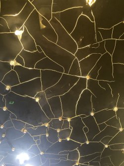 IMG_8795.jpeg IMG_8795.jpeg