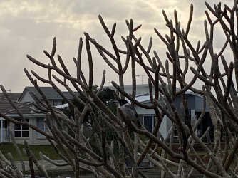 IMG_0648.jpg IMG_0648.jpg