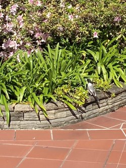 IMG_0709.jpg IMG_0709.jpg