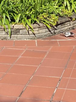 IMG_0710.jpg IMG_0710.jpg