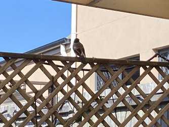 IMG_0759.jpg IMG_0759.jpg