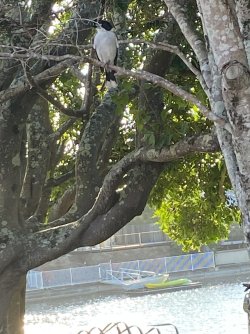 IMG_0767.jpg IMG_0767.jpg