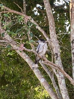 IMG_0768.jpg IMG_0768.jpg