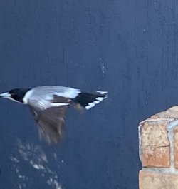 IMG_0772.jpg IMG_0772.jpg