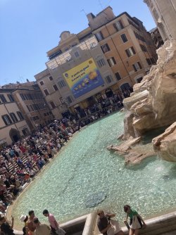 IMG_9653.jpeg IMG_9653.jpeg