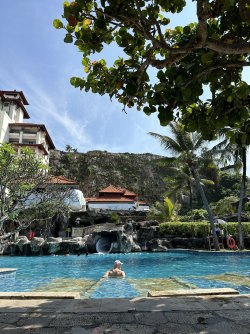 IMG_6940.jpeg IMG_6940.jpeg